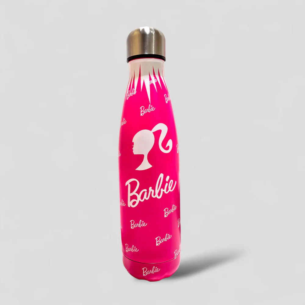 Stainless Steel Insulated Water Bottle 500ml MJ Toys